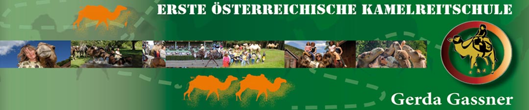 Kamelreiten.info